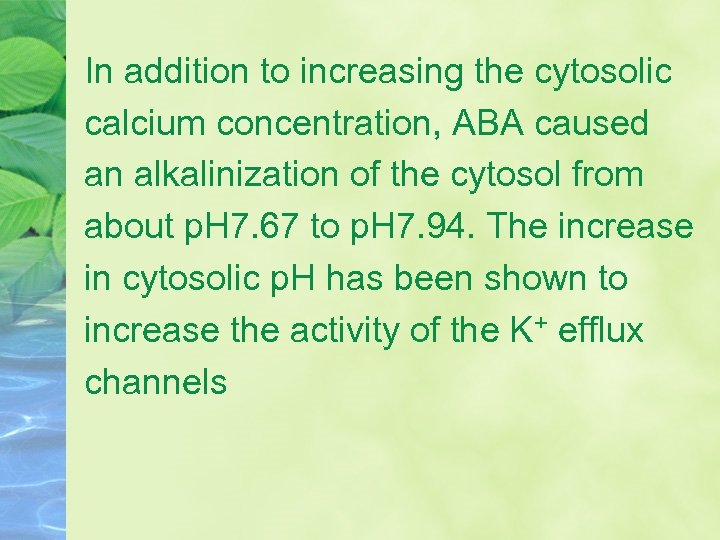 In addition to increasing the cytosolic calcium concentration, ABA caused an alkalinization of the