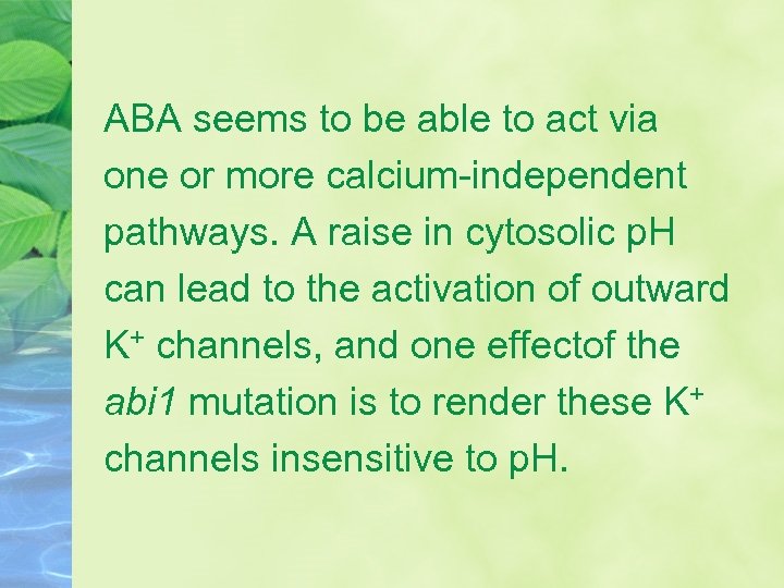 ABA seems to be able to act via one or more calcium-independent pathways. A