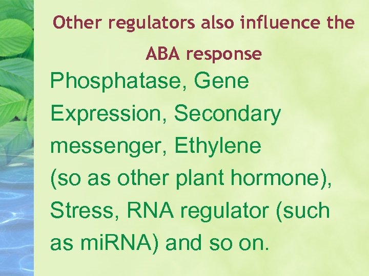 Other regulators also influence the ABA response Phosphatase, Gene Expression, Secondary messenger, Ethylene (so