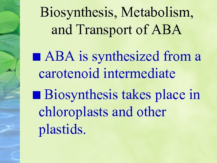 Biosynthesis, Metabolism, and Transport of ABA is synthesized from a carotenoid intermediate Biosynthesis takes