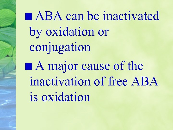 ABA can be inactivated by oxidation or conjugation A major cause of the inactivation