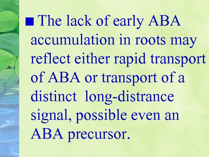 The lack of early ABA accumulation in roots may reflect either rapid transport of