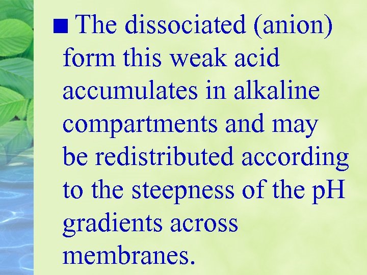 The dissociated (anion) form this weak acid accumulates in alkaline compartments and may be