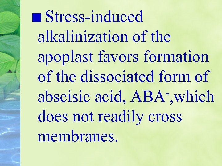 Stress-induced alkalinization of the apoplast favors formation of the dissociated form of -, which