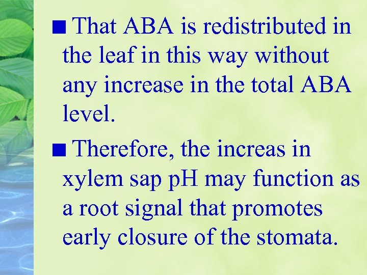 That ABA is redistributed in the leaf in this way without any increase in