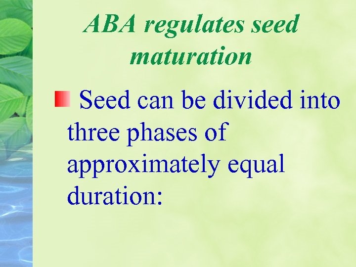 ABA regulates seed maturation Seed can be divided into three phases of approximately equal