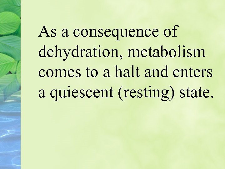 As a consequence of dehydration, metabolism comes to a halt and enters a quiescent