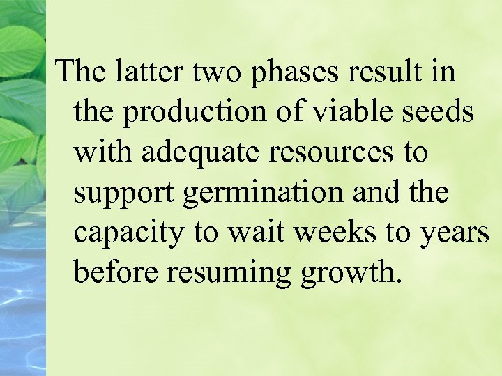 The latter two phases result in the production of viable seeds with adequate resources