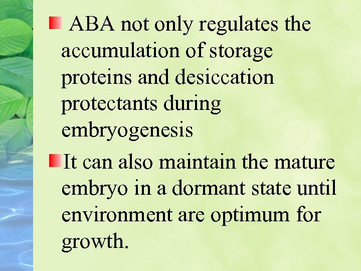 ABA not only regulates the accumulation of storage proteins and desiccation protectants during embryogenesis