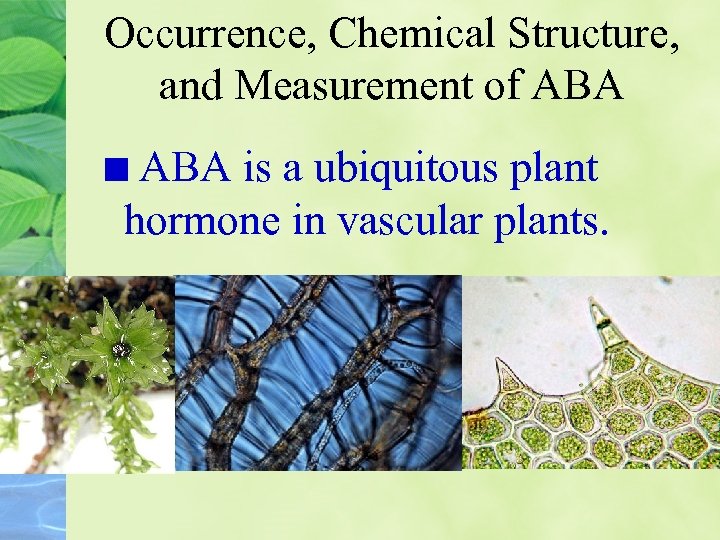 Occurrence, Chemical Structure, and Measurement of ABA is a ubiquitous plant hormone in vascular