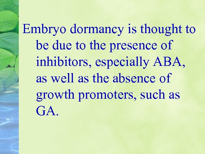 Embryo dormancy is thought to be due to the presence of inhibitors, especially ABA,