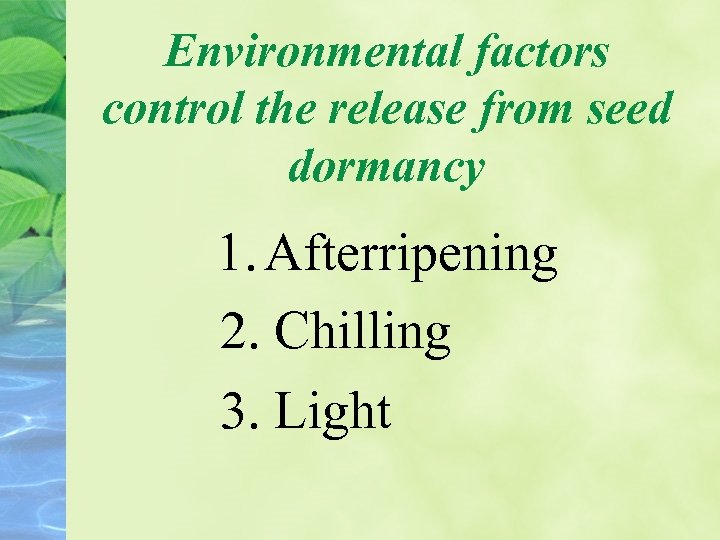 Environmental factors control the release from seed dormancy 1. Afterripening 2. Chilling 3. Light