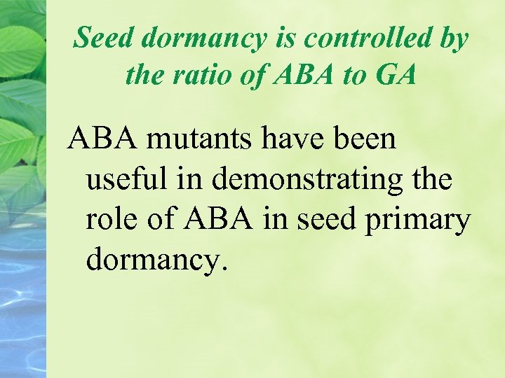 Seed dormancy is controlled by the ratio of ABA to GA ABA mutants have