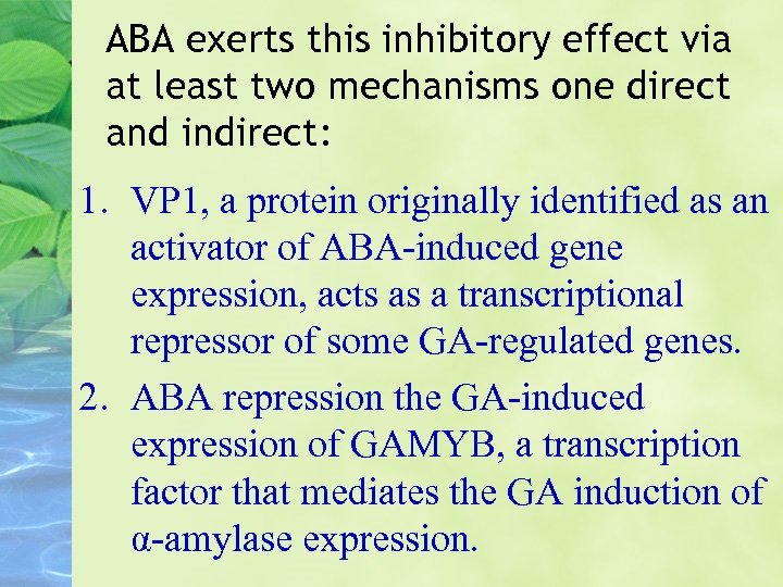 ABA exerts this inhibitory effect via at least two mechanisms one direct and indirect: