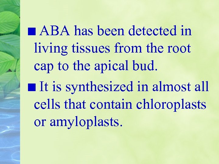 ABA has been detected in living tissues from the root cap to the apical