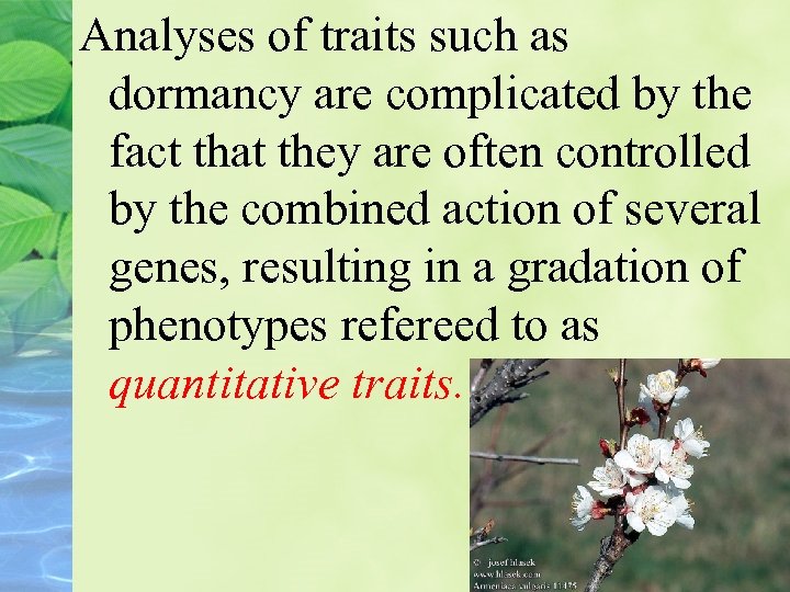 Analyses of traits such as dormancy are complicated by the fact that they are