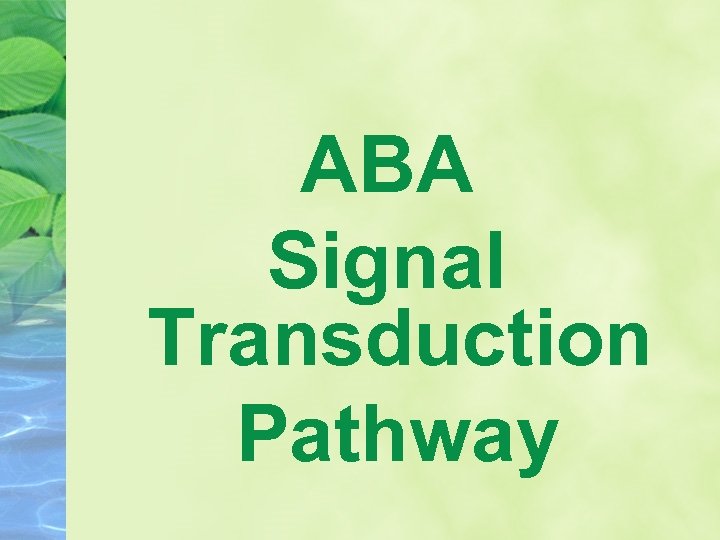 ABA Signal Transduction Pathway 