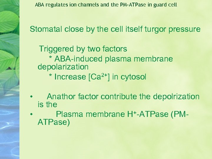 ABA regulates ion channels and the PM-ATPase in guard cell Stomatal close by the