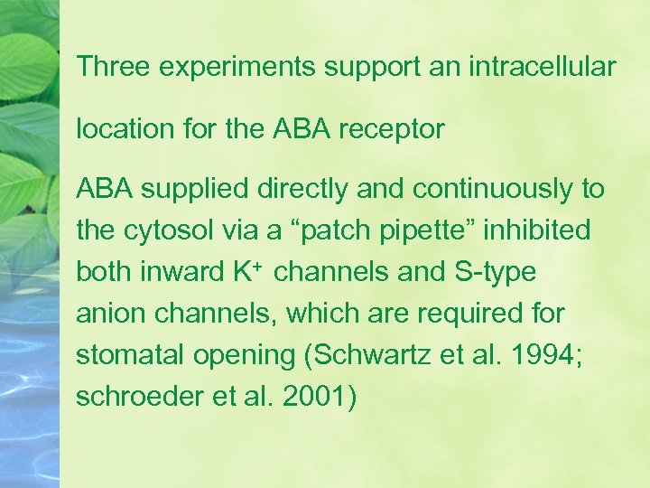 Three experiments support an intracellular location for the ABA receptor ABA supplied directly and