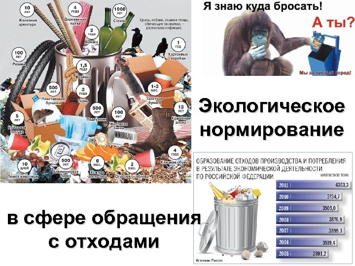 Экологическое нормирование в сфере обращения с отходами 
