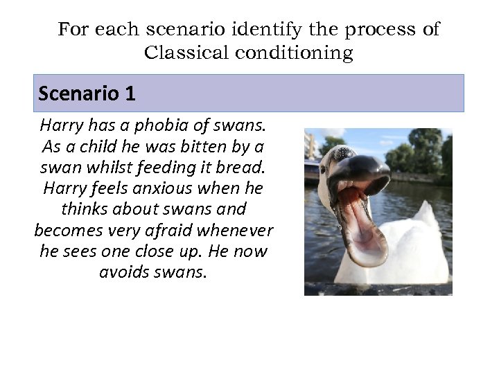 For each scenario identify the process of Classical conditioning Scenario 1 Harry has a