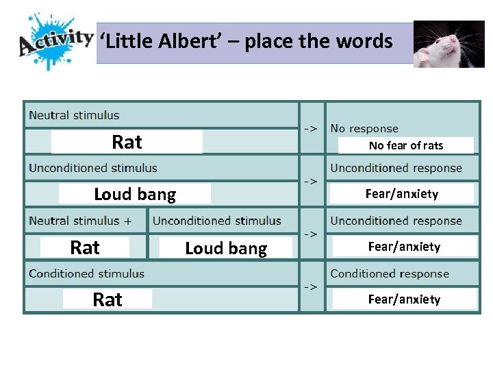 ‘Little Albert’ – place the words Rat No fear of rats Loud bang Rat