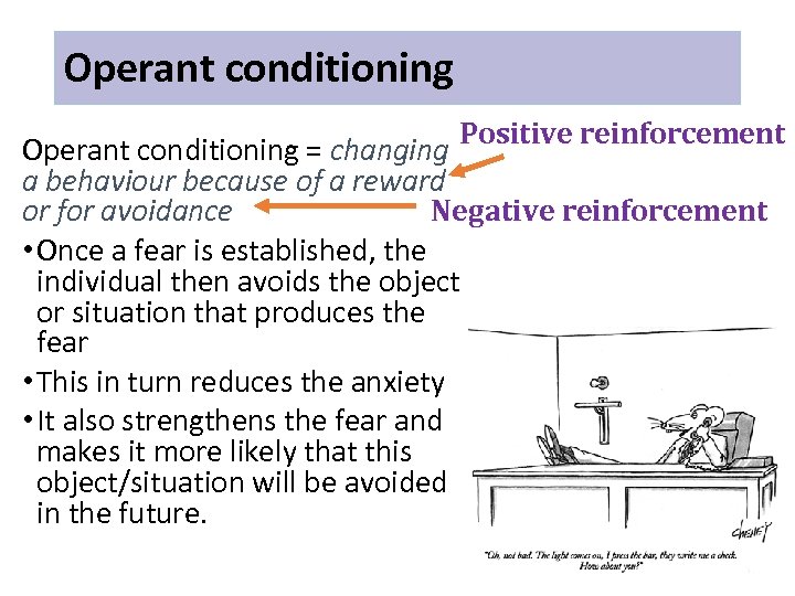 Operant conditioning Positive reinforcement Operant conditioning = changing a behaviour because of a reward