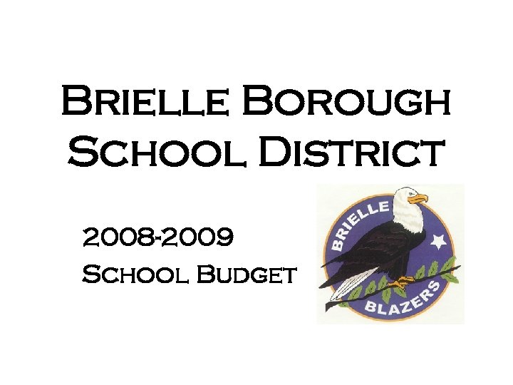 Brielle Borough School District 2008 -2009 School Budget 