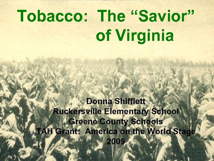 Tobacco: The “Savior” of Virginia Donna Shifflett Ruckersville Elementary School Greene County Schools TAH