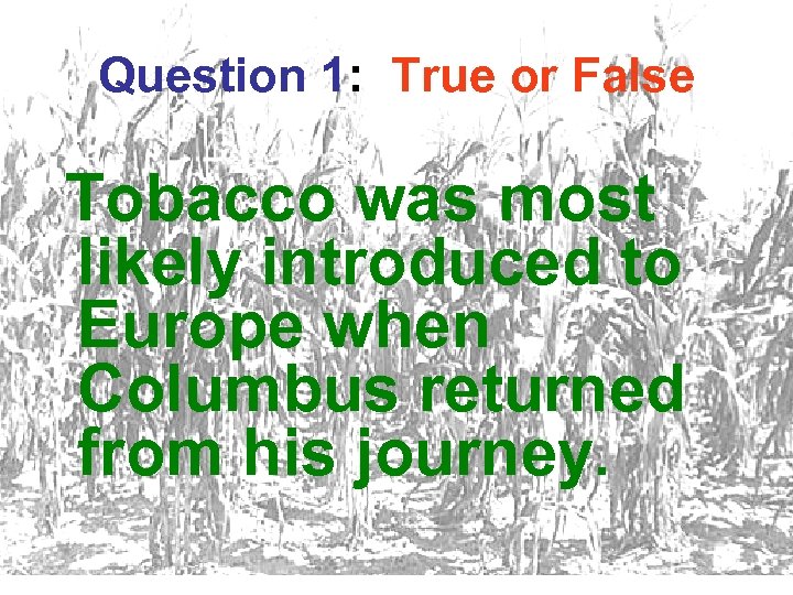 Question 1: True or False Tobacco was most likely introduced to Europe when Columbus