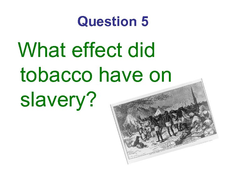 Question 5 What effect did tobacco have on slavery? 