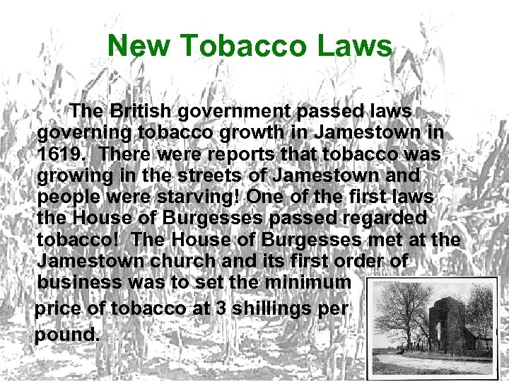 New Tobacco Laws The British government passed laws governing tobacco growth in Jamestown in