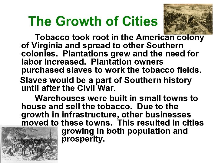 The Growth of Cities Tobacco took root in the American colony of Virginia and