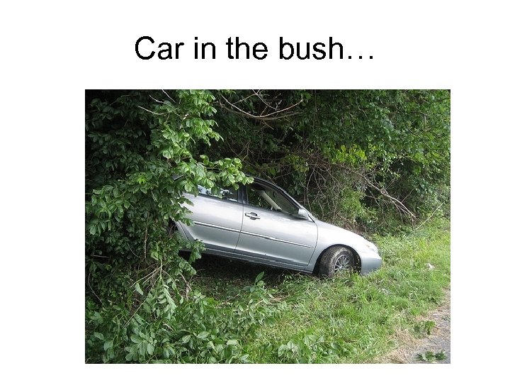 Car in the bush… 