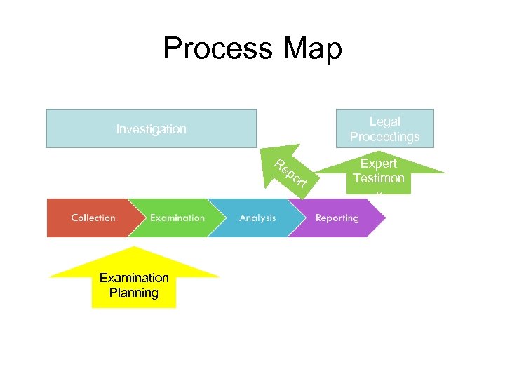 Process Map Legal Proceedings Investigation Taskin g Examination Planning Re po rt Expert Testimon