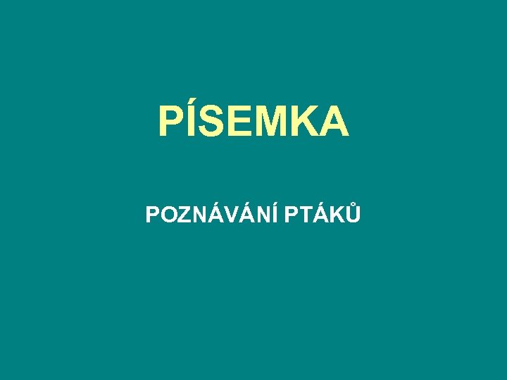 PÍSEMKA POZNÁVÁNÍ PTÁKŮ 