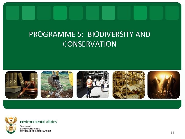 PROGRAMME 5: BIODIVERSITY AND CONSERVATION 54 