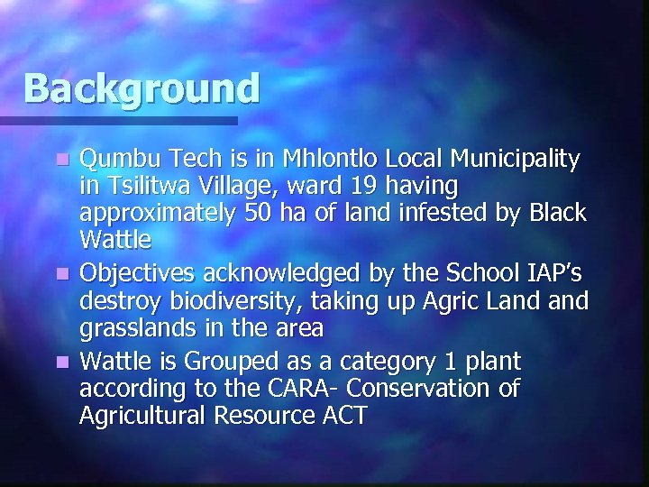 Background Qumbu Tech is in Mhlontlo Local Municipality in Tsilitwa Village, ward 19 having