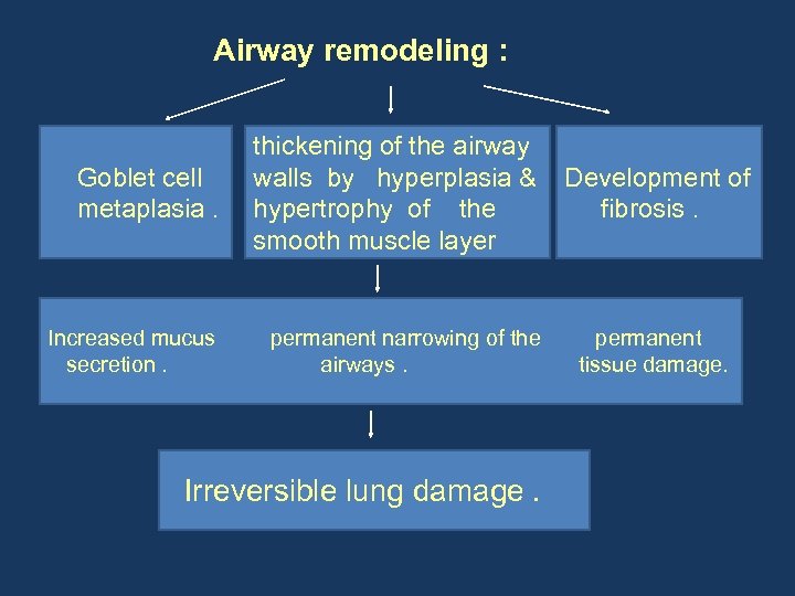 Airway remodeling : Goblet cell metaplasia. thickening of the airway walls by hyperplasia &