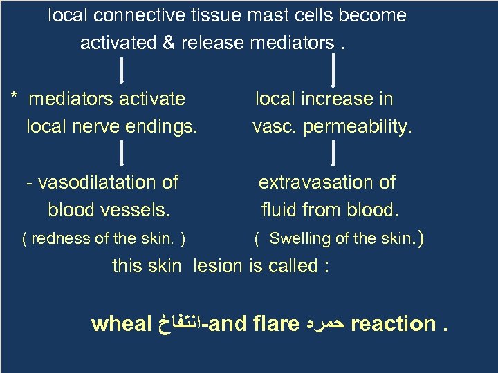 local connective tissue mast cells become activated & release mediators. * mediators activate local