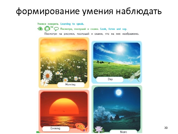 формирование умения наблюдать 20 