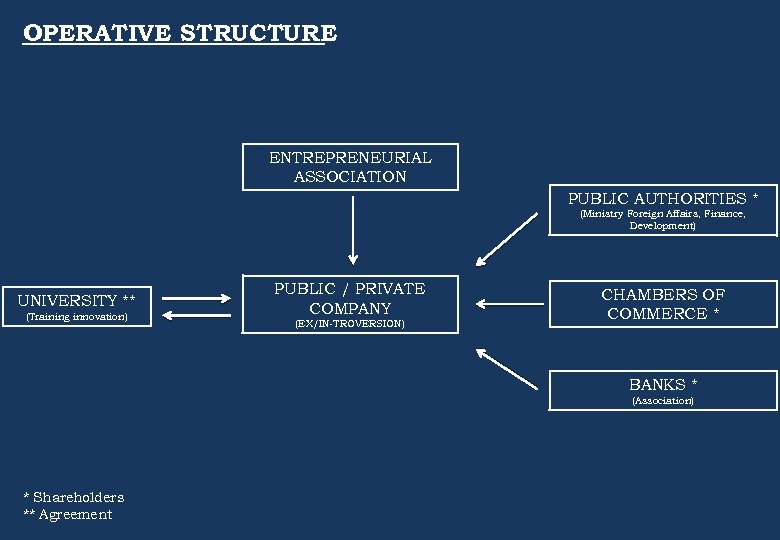 OPERATIVE STRUCTURE ENTREPRENEURIAL ASSOCIATION PUBLIC AUTHORITIES * (Ministry Foreign Affairs, Finance, Development) UNIVERSITY **