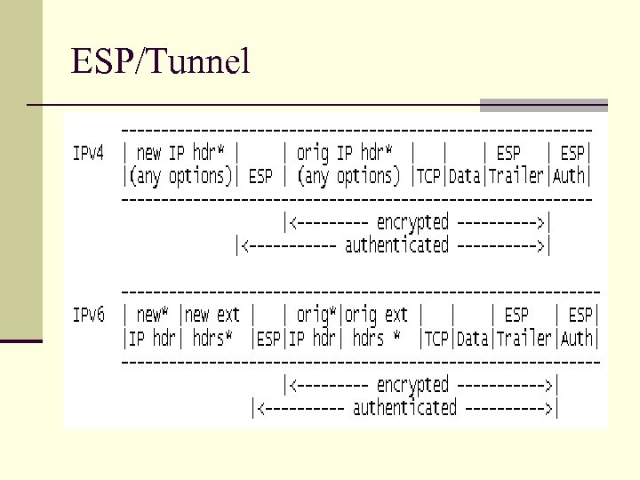 ESP/Tunnel 