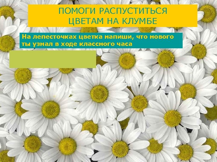 ПОМОГИ РАСПУСТИТЬСЯ ЦВЕТАМ НА КЛУМБЕ На лепесточках цветка напиши, что нового ты узнал в