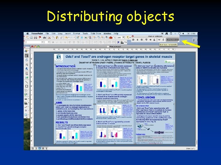 Distributing objects 