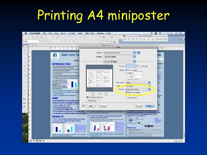 Printing A 4 miniposter 