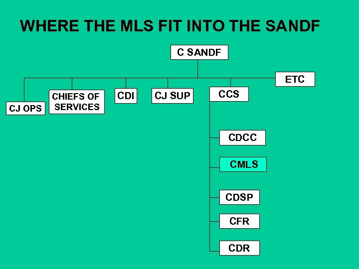 WHERE THE MLS FIT INTO THE SANDF C SANDF ETC CJ OPS CHIEFS OF