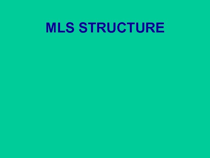 MLS STRUCTURE 