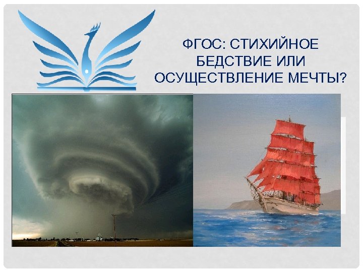 ФГОС: СТИХИЙНОЕ БЕДСТВИЕ ИЛИ ОСУЩЕСТВЛЕНИЕ МЕЧТЫ? 