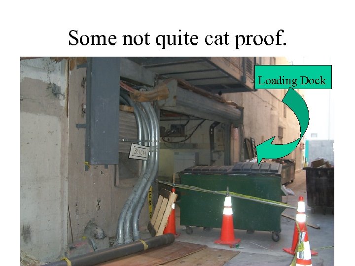 Some not quite cat proof. Loading Dock 